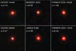 Compilation of images of the little red dots from the JWST