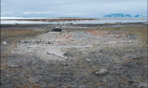 Whale rendering site in the Arctic