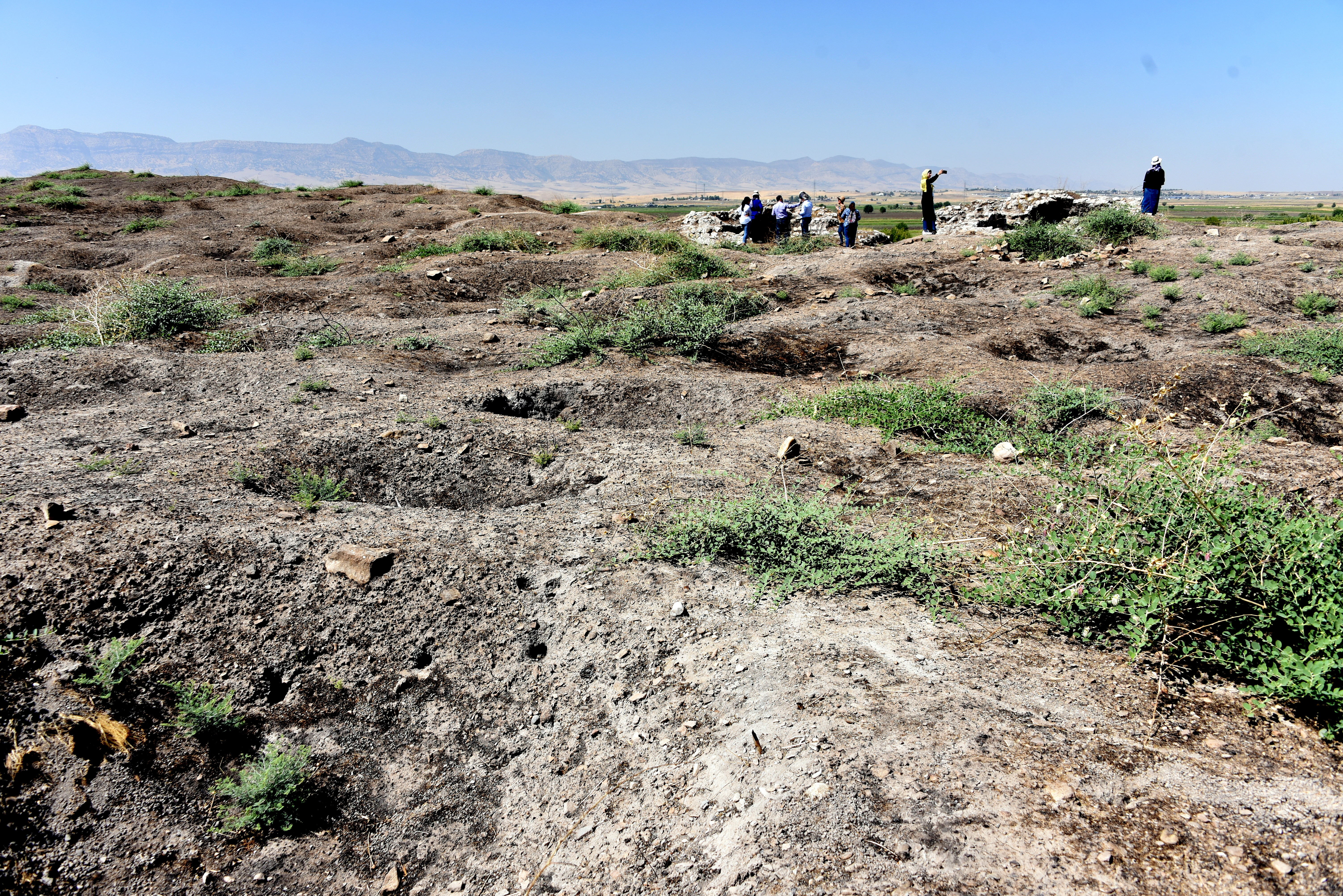 Holes in the ground at an archaeological site.
