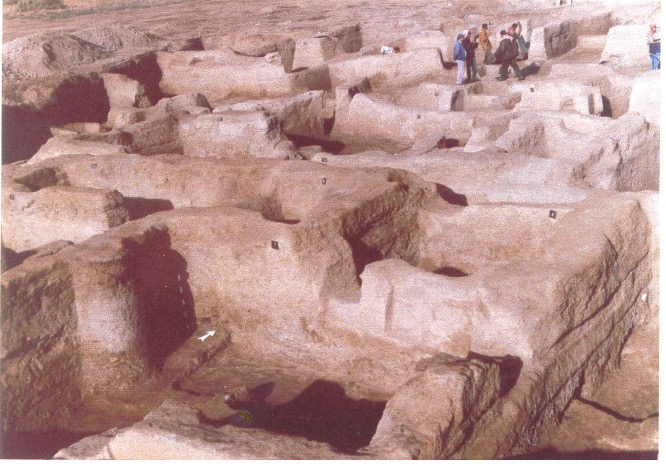 Archaeological digs in the desert.