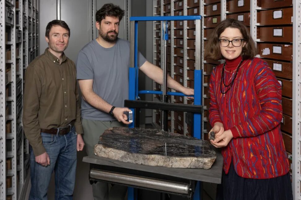 Researchers Sandy Hetherington, Corentin Loron and Laura Cooper, stand next to a Prototaxite fossil used in the study
