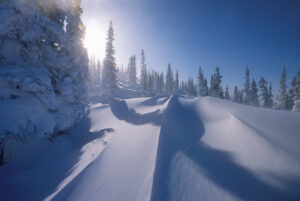subarctic winter scene