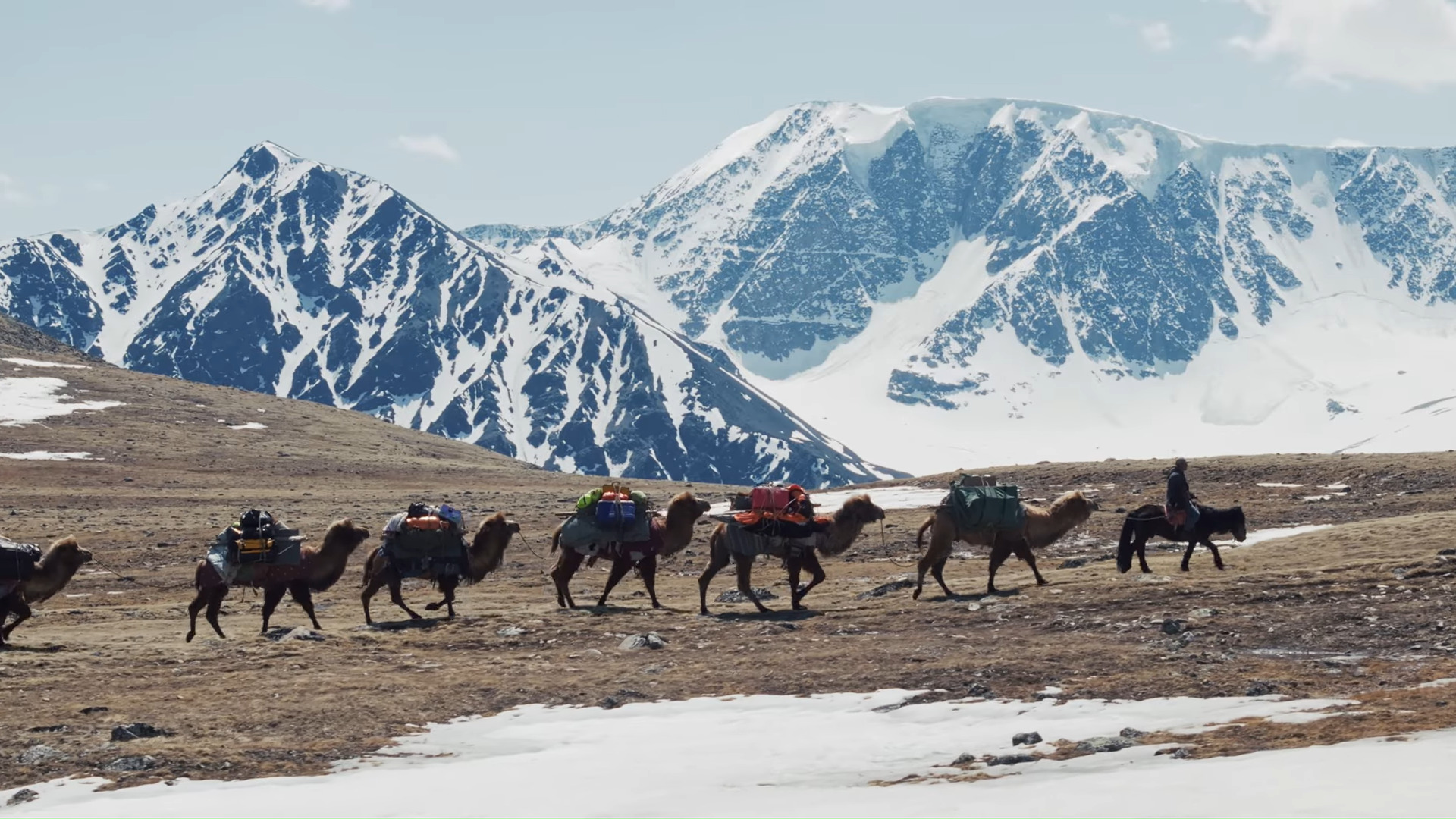 A team of camels with mountains in the distance