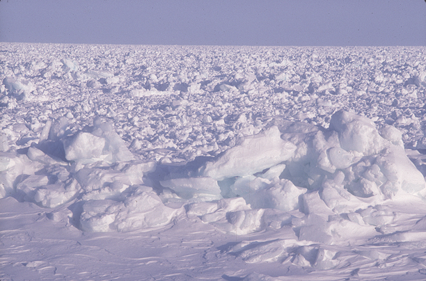 rough sea ice
