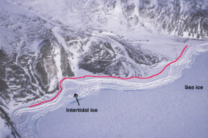 aerial of the arctic ice foot