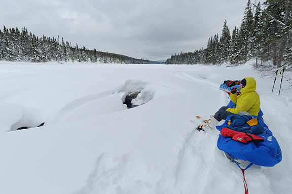 arctic traveler sitting on sled