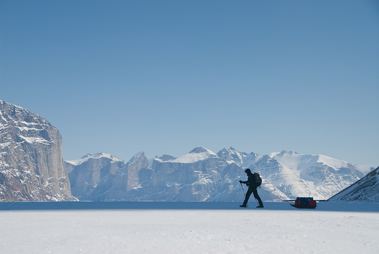 silhouetted arctic sledder