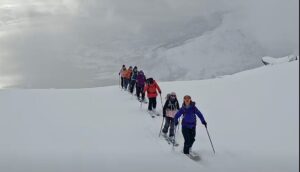 line of skiers on overcast day