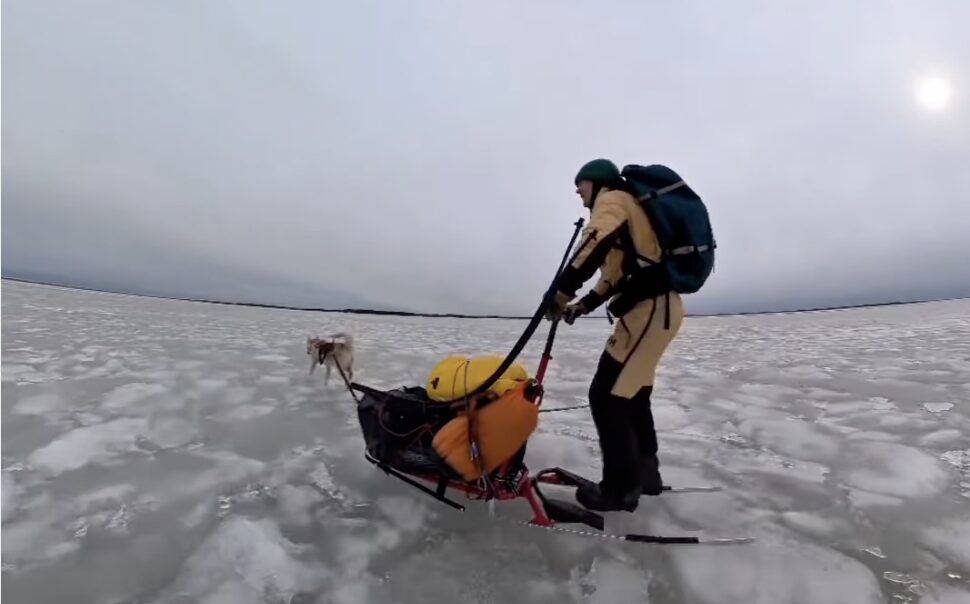 Kicksledding with dog on bare ice.