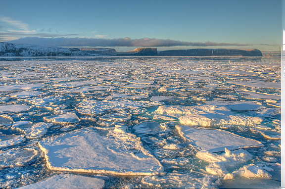 new sea ice forming