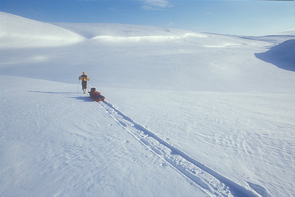 sledder in arctic landscape