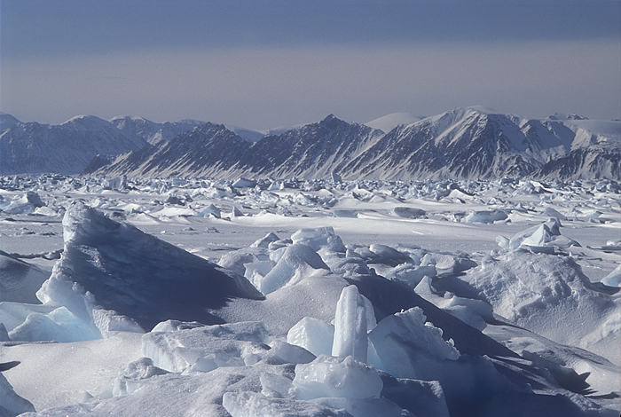 rough sea ice