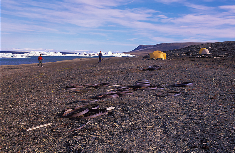 old barrel hoops on arctic beach