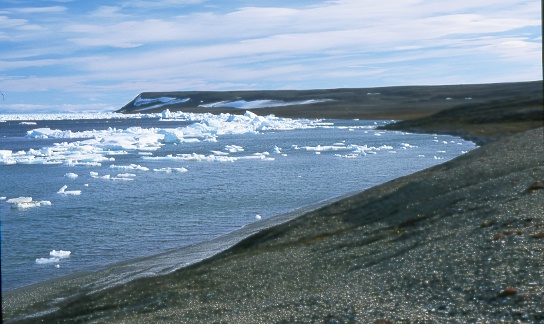 arctic beach