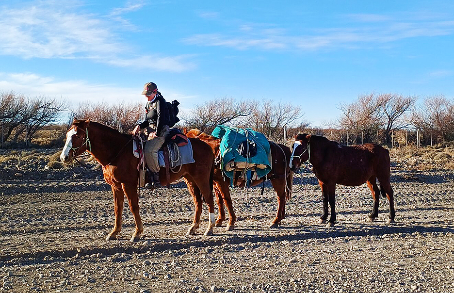 woman with horses on a dirt track
