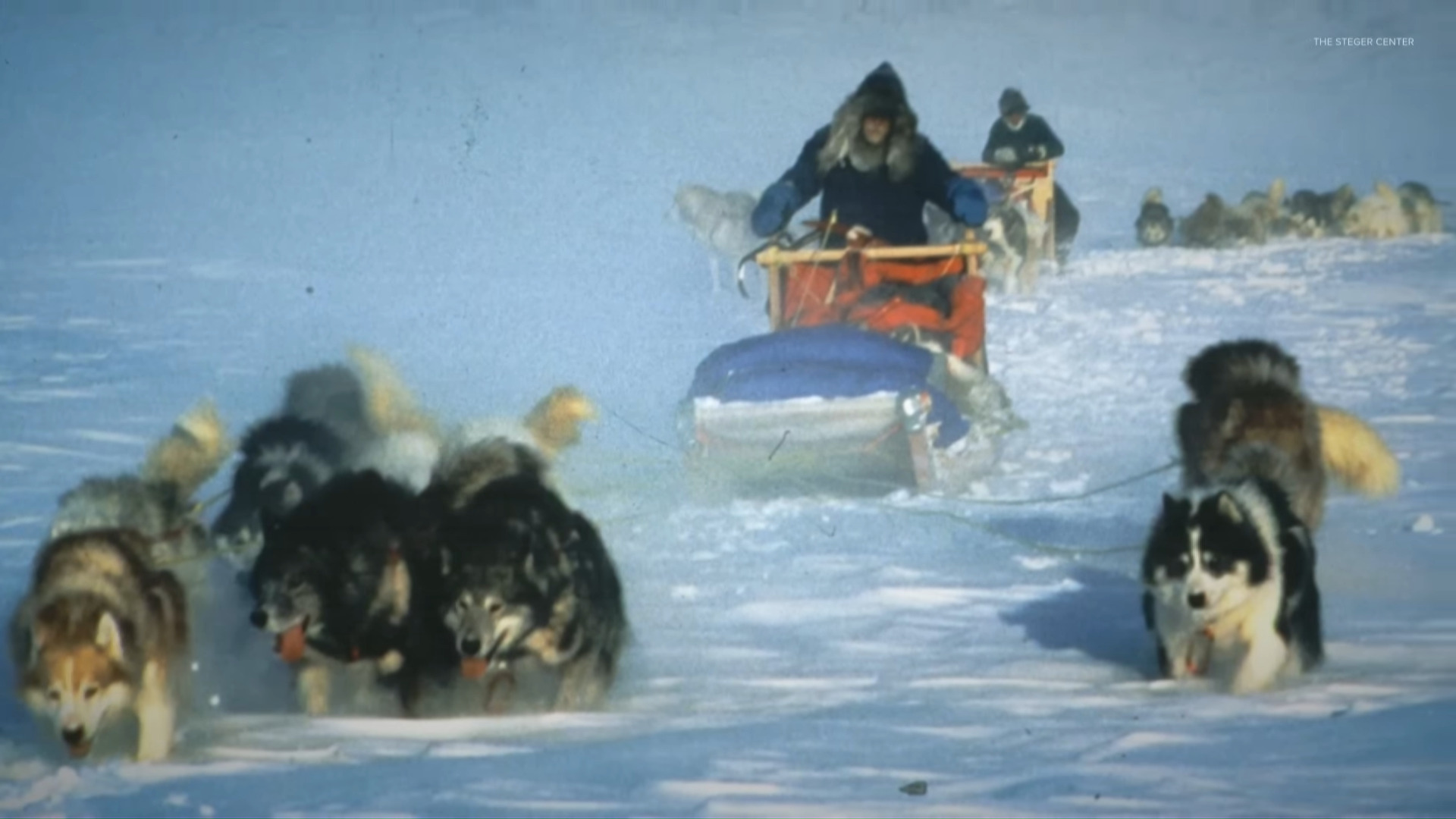 Dogsledding teams in an Arctic landscape