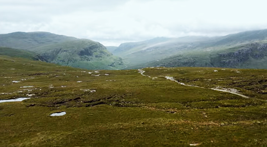 Weekend Warm-Up: The Pine Hunters