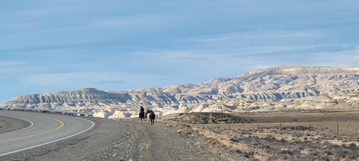 Two horses and Olivia Cazes by the side of a road with mountains in the background