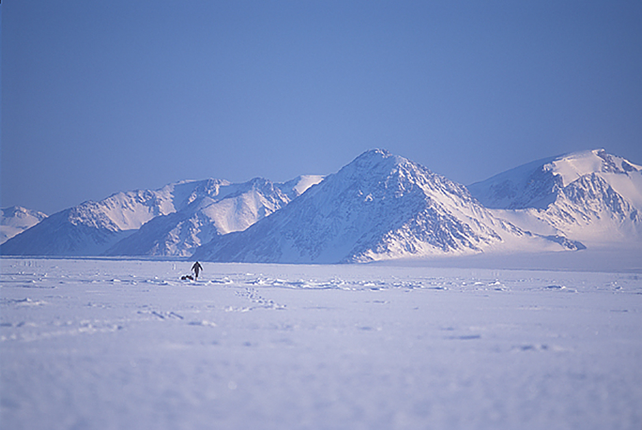 sledder in white arctic landscape