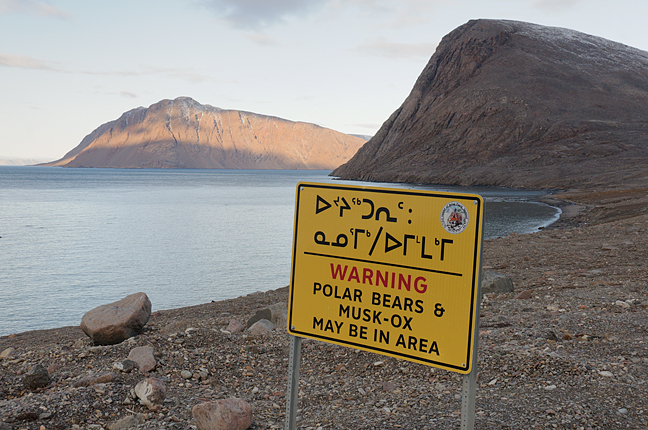 sign about polar bears
