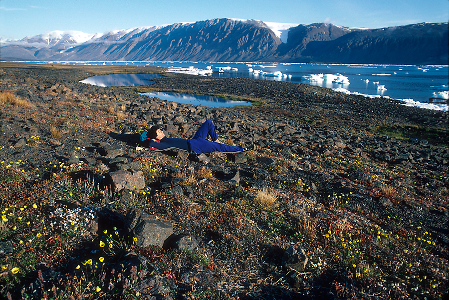 man lying down in arctic meadow