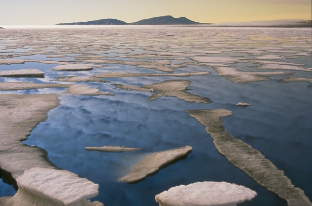 fiord with ice floes