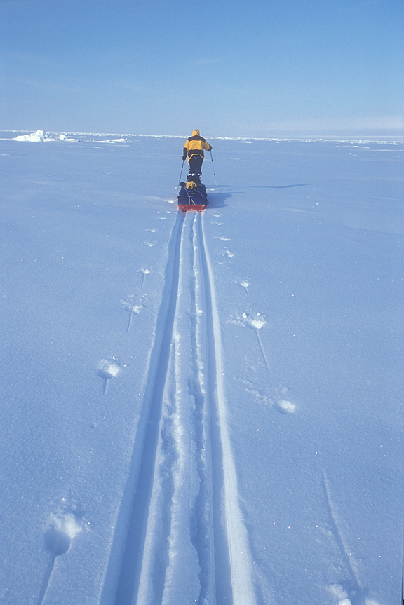 vertical of sledder from behind