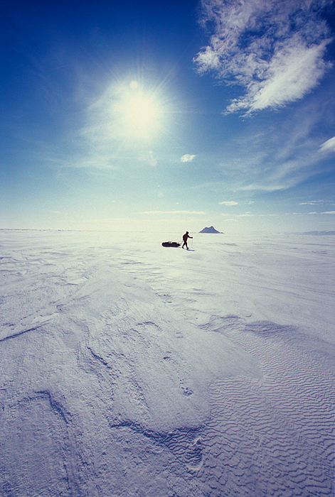 backlit skier/sledder
