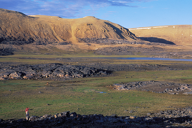 person in arctic lowland
