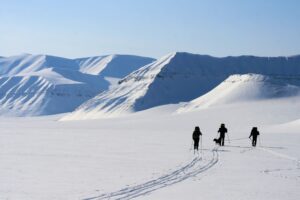 skiers in arctic landscape