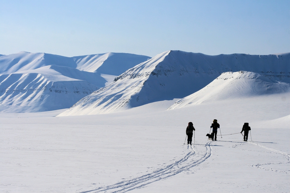 skiers in arctic landscape