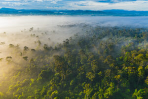 Borneo