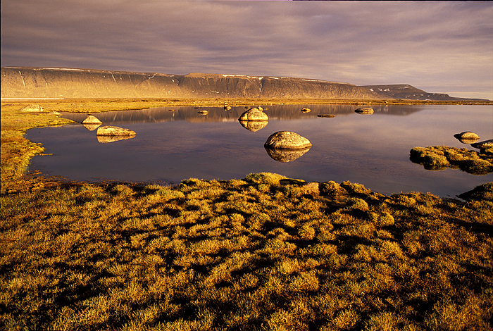 arctic pond in golden light