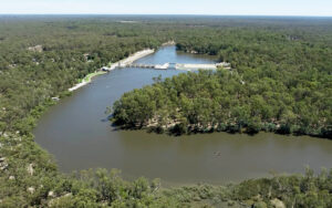 aerial of a river amid forest