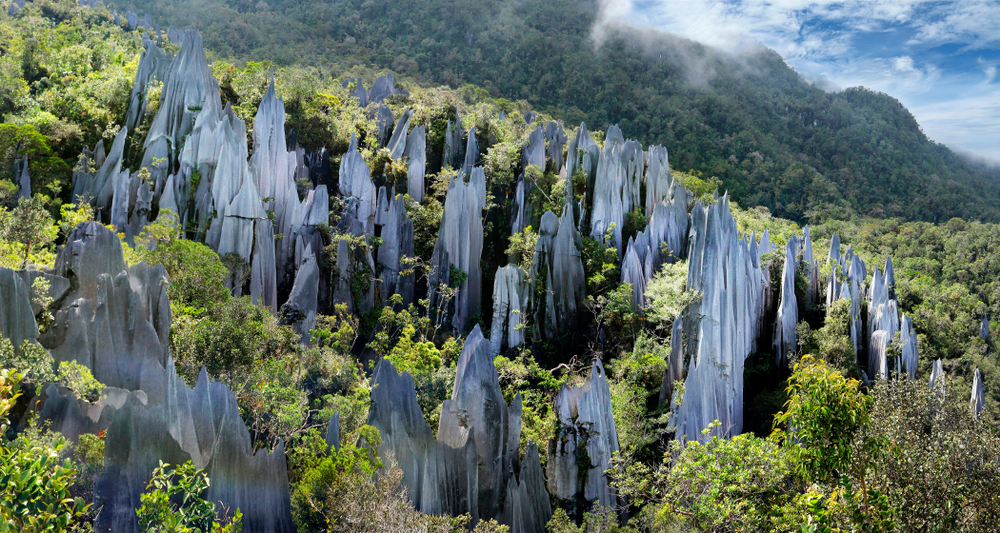 The Pinnacles in Mulu National Park, Sarawak. 