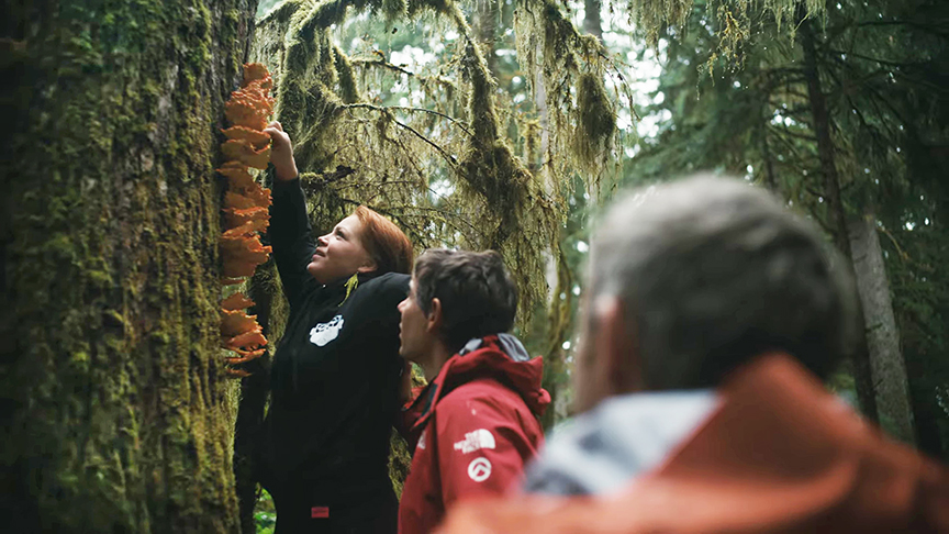 Two men watch a woman harvest mushrooms in the forest