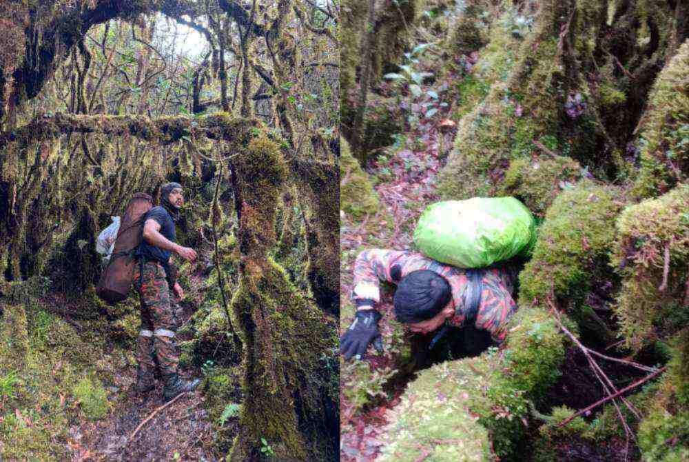 rugged jungle hiking