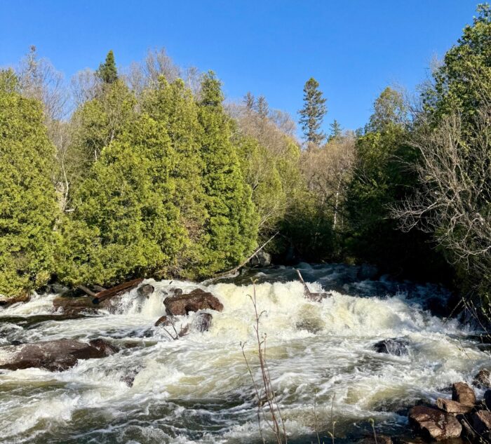 Rapids on a river in Canada
