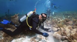 Divers in the port of Nassau.