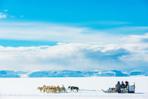dogsledder on sea ice
