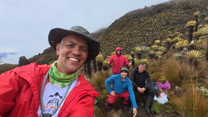 Climbers on an altitude subtropical forest setting.