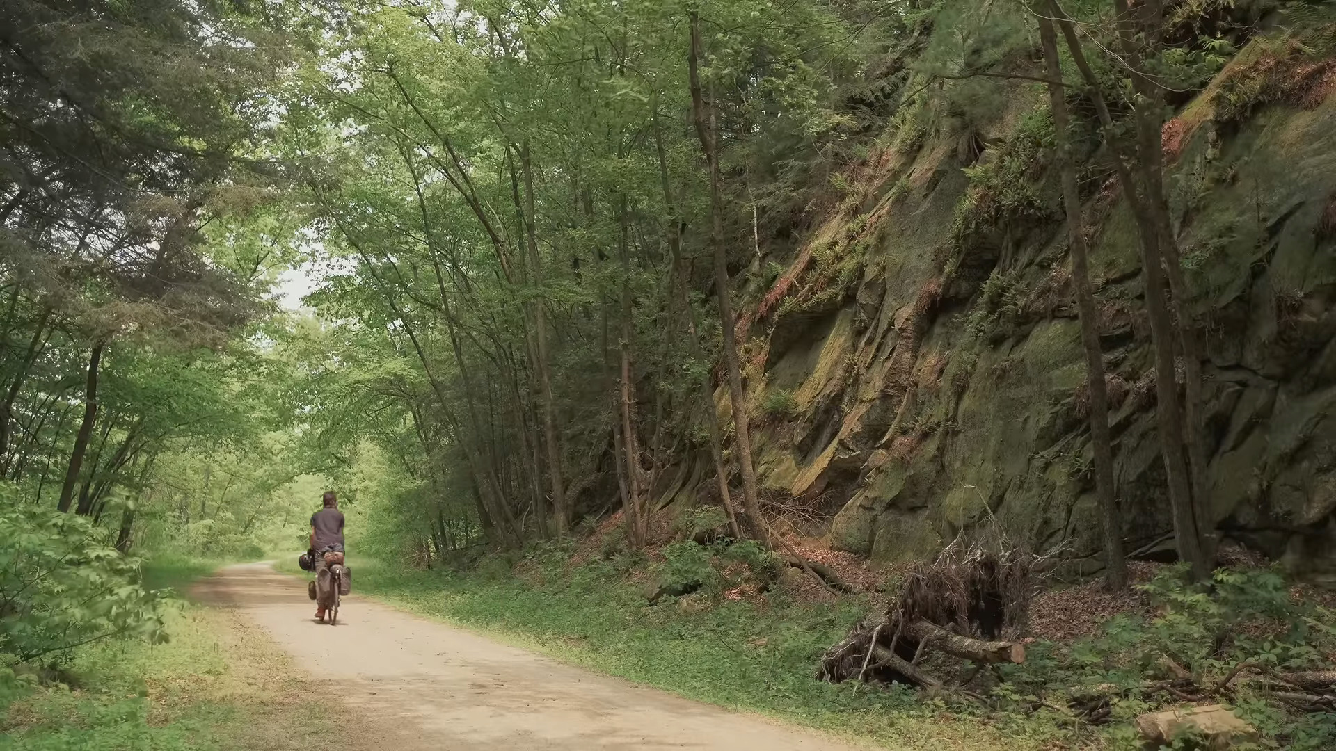 A man biking down a forest path