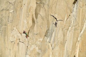 Mark Hudon belays Ben VanderStouw on pitch six, The Seagull, of Mescalito on El Capitan.
