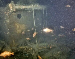 shipwreck at bottom of ocean with fish