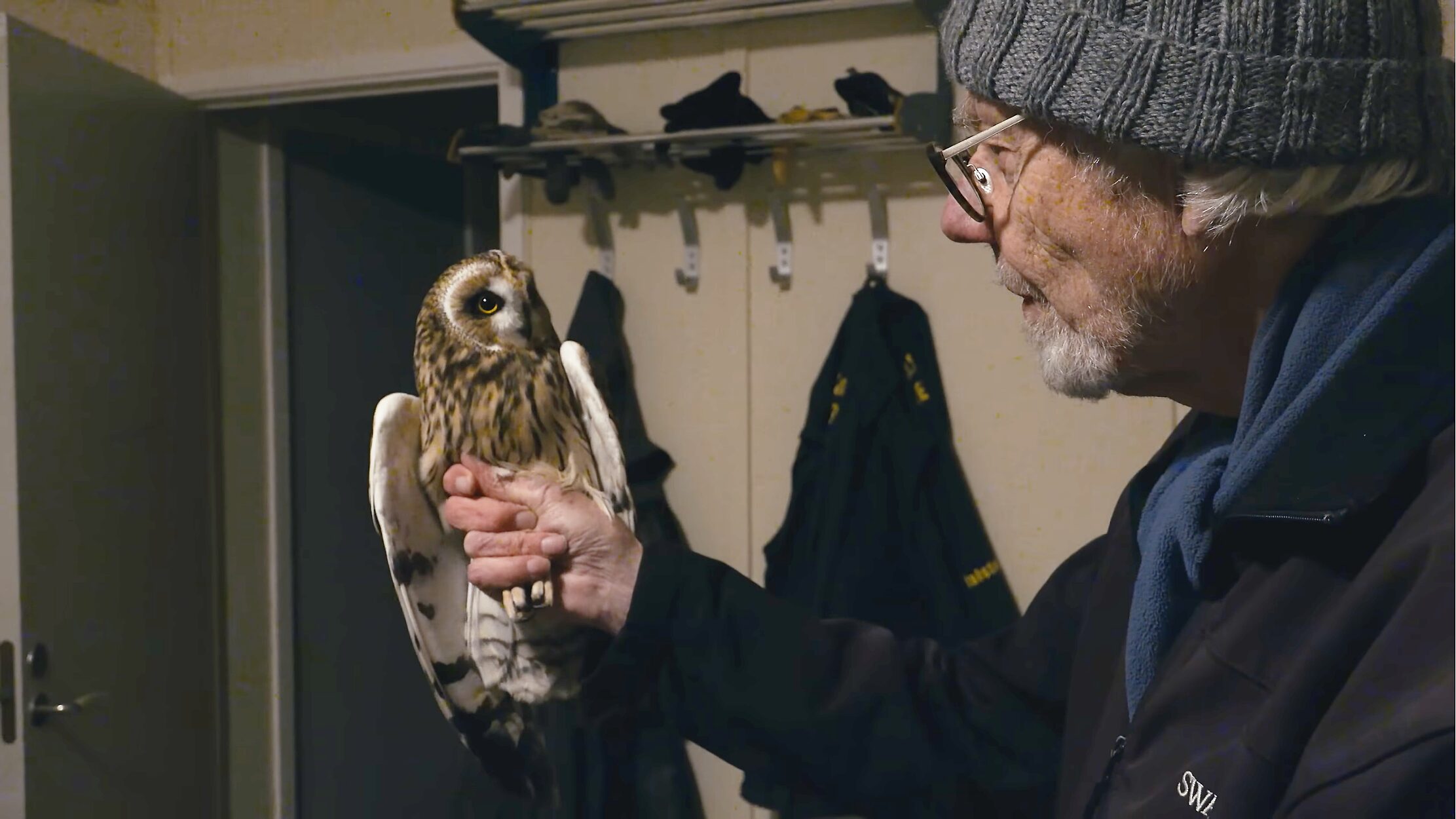 A man holding an owl