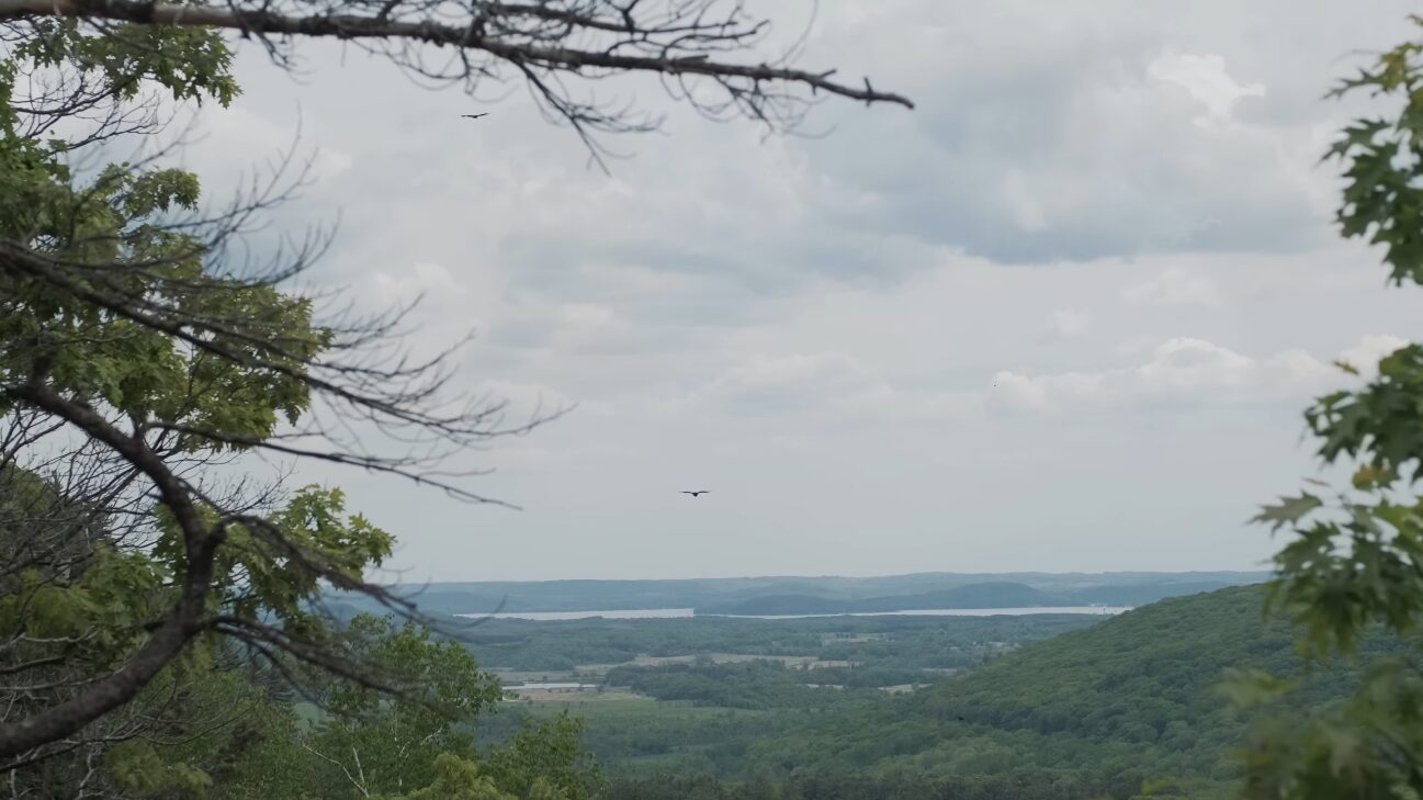 Vista of rolling hills, river and airborne raptors