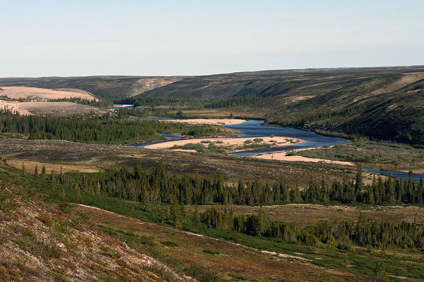 river snaking through subarctic