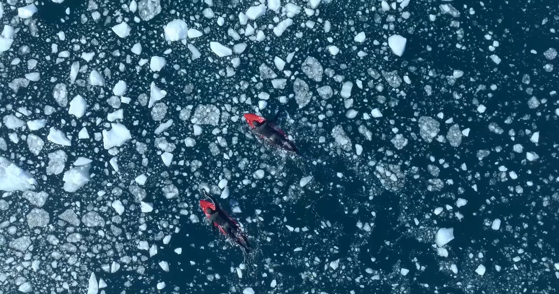 Two men paddling through sea ice