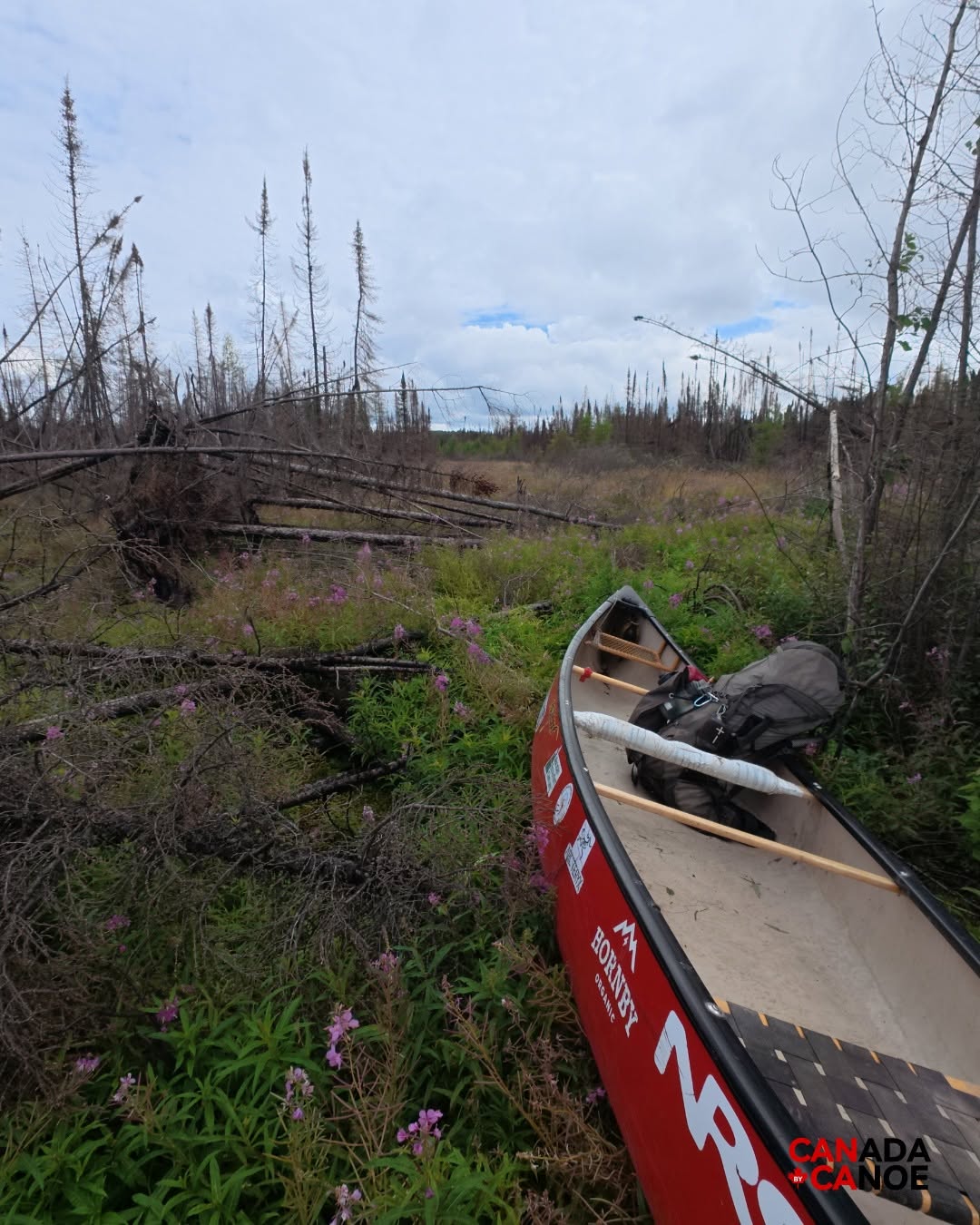 Bushwhacking with a canoe.