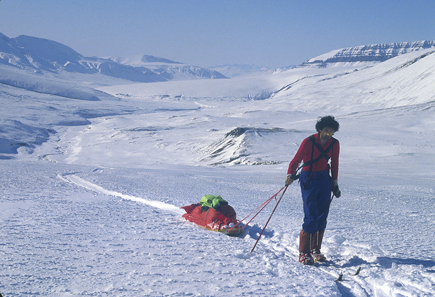 sledder and Arctic view